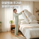 일광세탁 | 집먼지진드기 걱정 없는 이불빨래 주기와 올바른 세탁법