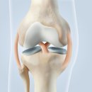 파크약국 이미지