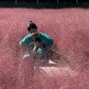 던킨김천율곡점 이미지