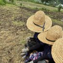 종암2리 이미지