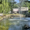 클레리아 이미지