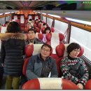 맹종죽테마파크1 티스토리