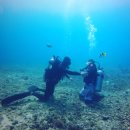 자유개발 | 🐢 사이판 스쿠버 다이빙 완벽 가이드 | 라우라우비치 거북이 포인트 자유여행 후기 🌊