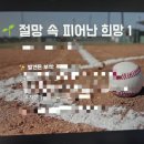 친구랑 한달에 한 번씩 야없월 이렇게 놀아 이미지