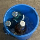 식객단골집 | 울산 일산지 식객단골집 숯불 닭구이 닭발 주먹밥 내돈내산 솔직후기