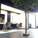 헤어 온 이미지