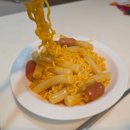 홈포레스트리조트 | 내돈내산 거제도 애견동반 숙소 홈포레스트 리조트 거제 패밀리 스위트 후기 ㅎㅎ