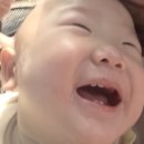 홍천 놀거리 추천｜도윤이와 단둘이 다녀온 강원도 홍천 가볼만한곳 당나귀 체험 후기 🤍