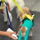 송산유치원 이미지