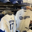 로23 앞 | [후쿠오카] 일본 프로야구 직관 후기! 소프트뱅크 호크스 vs 오릭스 버팔로스 (9/23 미즈호 페이페이돔)