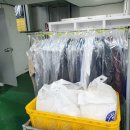 대아세탁소 - 서구 배재로 185 | 대아세탁소