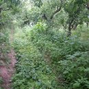 태양수지 이미지