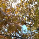 예일여자고등학교 이미지