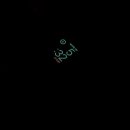 삽다리 곱창 이미지