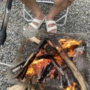 두밀숲캠핑장 이미지