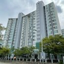 닥터송치과의원 Daum카페
