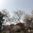 복음세차장 이미지