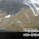 분진기공