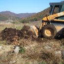 상왕농장 이미지