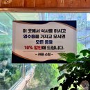 참나무 도토리 막국수 네이버블로그