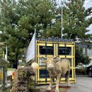 광주태평양약국 이미지