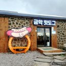 금악핫도그