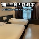 베스트올 제일 | [제주] 베스트웨스턴 제주 호텔 | 제주공항 근처 가성비 호텔 숙박 후기