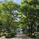인테리어 회사 공식 블로그와 대표 계정 운영에 대하여