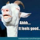 커피체리 이미지