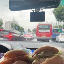 곰장어와아나고 이미지