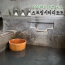 시티온천 | 타이베이 스프링시티리조트 자쿠지 온천 숙소 조식 후기