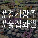 경기 광주 다육이 초월읍 화원 꽃집 "선화다육" 후기