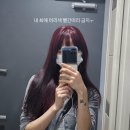 뮤트가든 | 인생 부정 당한 첫 퍼스널 컬러 후기 가을 뮤트요...?