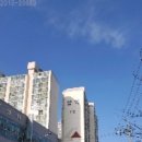 서영대학교 앞 이미지