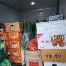 야채총각들 네이버블로그