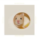 스프링 햄스터 이미지