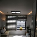 하남-신장-신장9호 이미지