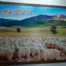 대교양고기 이미지