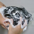 채울 | 두피샴푸추천 저속노화 포셰리 채울 샴푸 후기