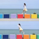 제주시절