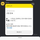원피드캠 네이버블로그