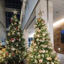 이마트24 부천세종병원점 | 세종충남대병원 외과 시술/ 4인실 입원 후기 &amp; 병원 편의시설