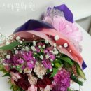 스타꽃화원