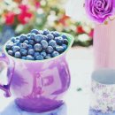 SY공인외국어번역행정사 이미지