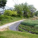 명당농장 이미지