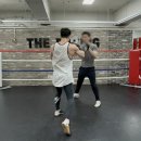 강남복싱클럽 이미지