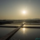 소래습지생태공원 이미지