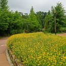 푸른수목원 이미지