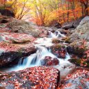 설천면109 이미지