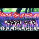 충남서천 송림산림욕장의 맥문동과 Stand by you'r man 하모니카입니다 이미지